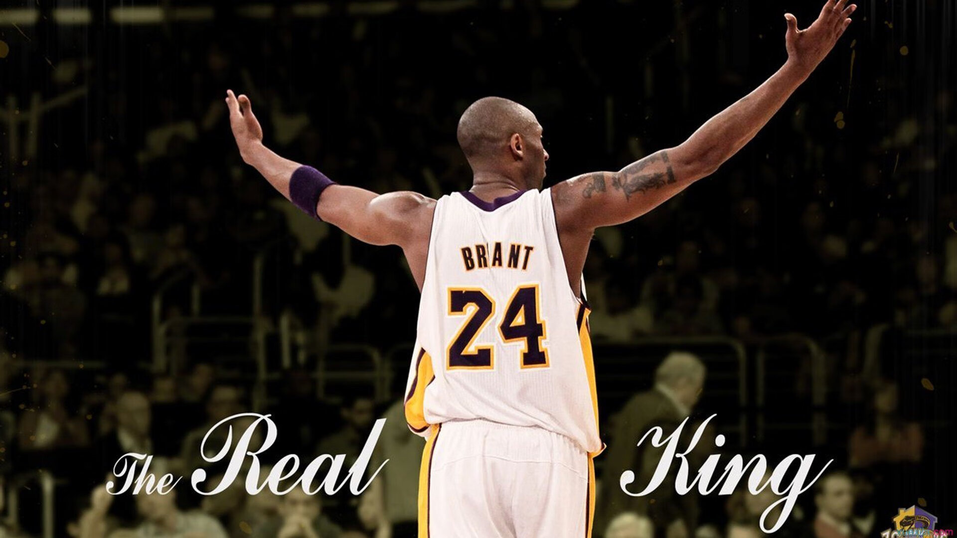 KPL首次踏入国家体育场粉丝：电竞真的飞起来了，中国电竞kpl